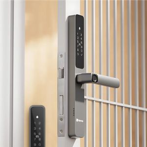 Smart Lock DL06 Pro